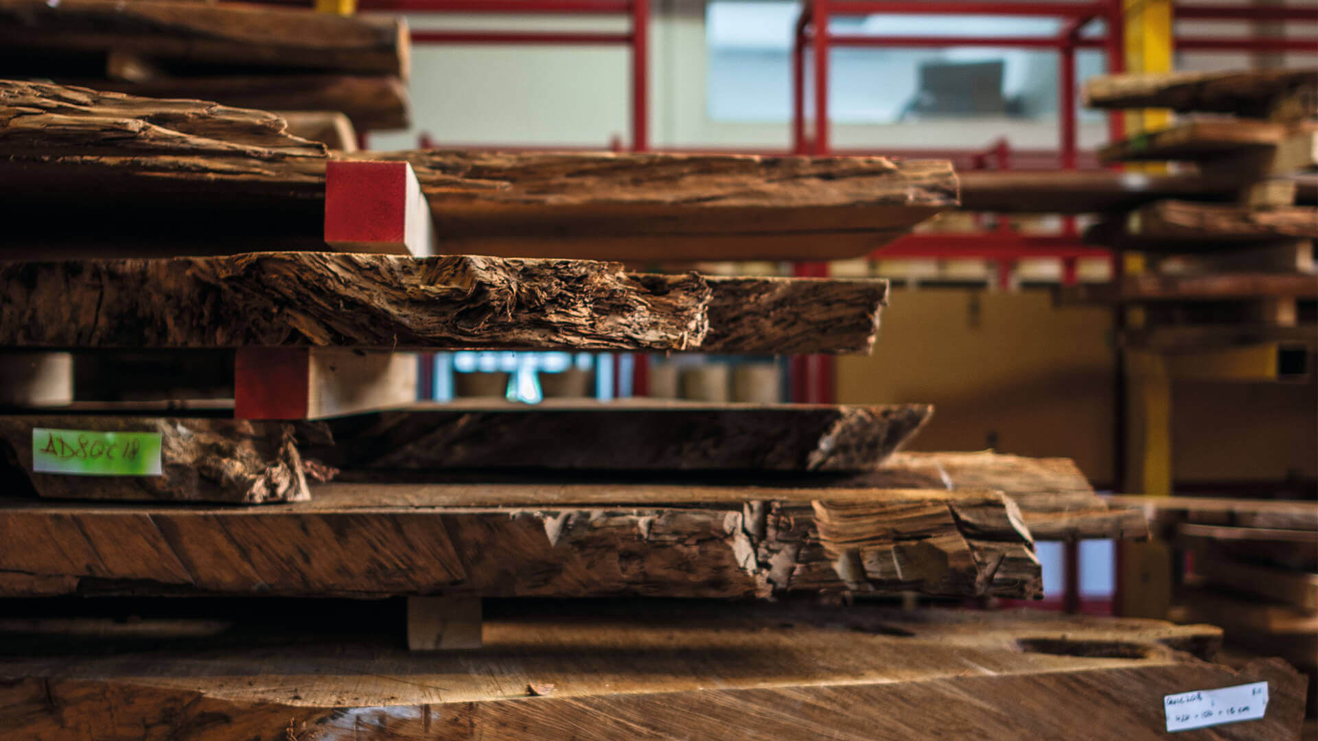 Legno kauri Gallery