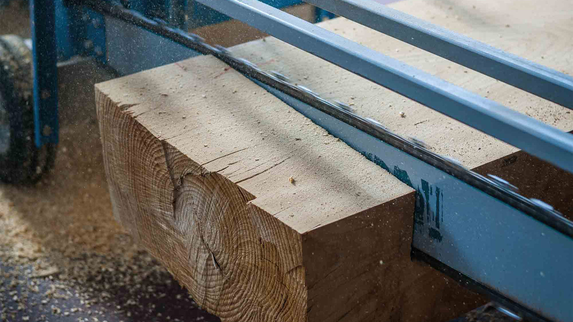 Legno di cedro Gallery