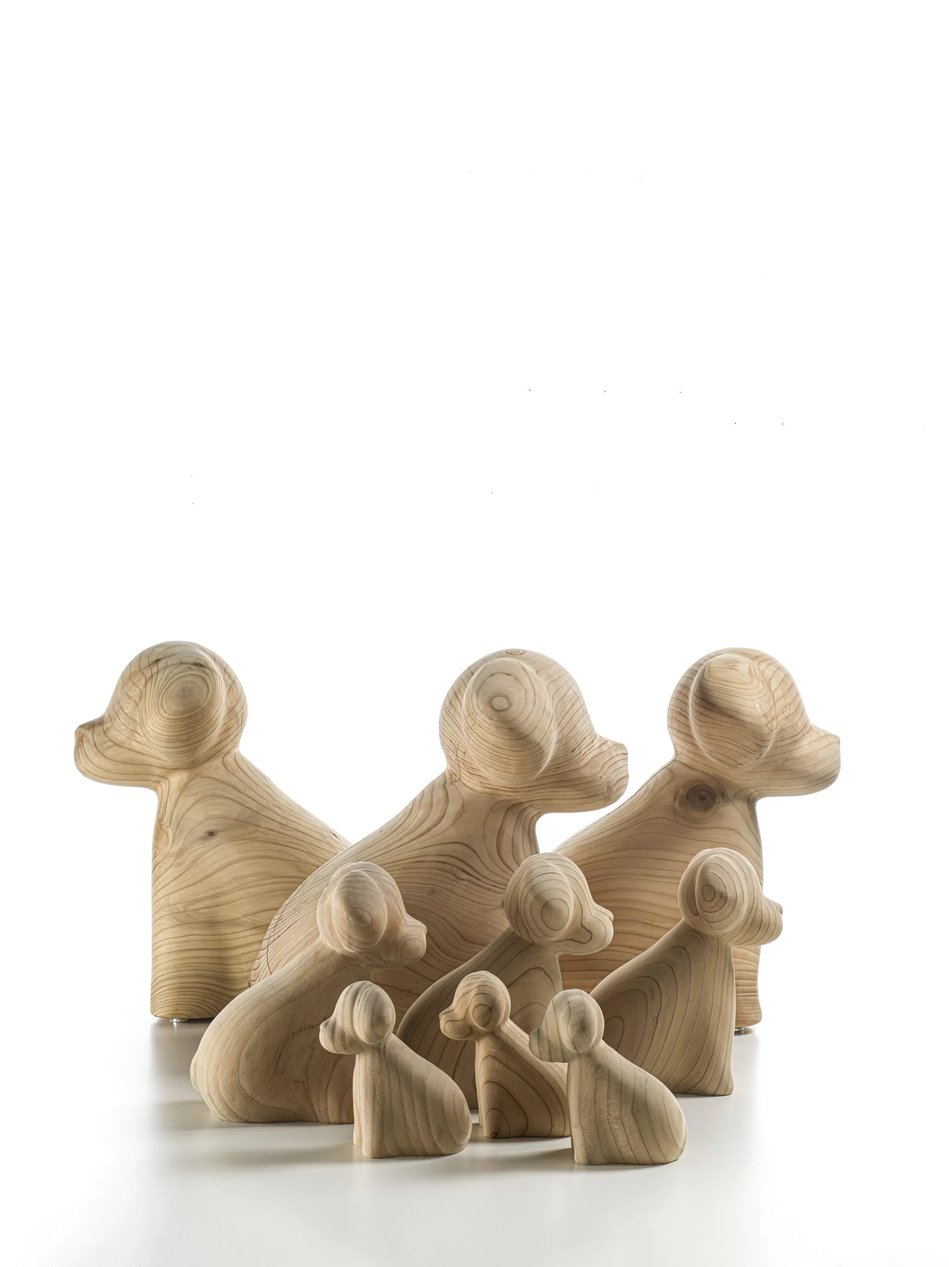 WAN Gallery 2
