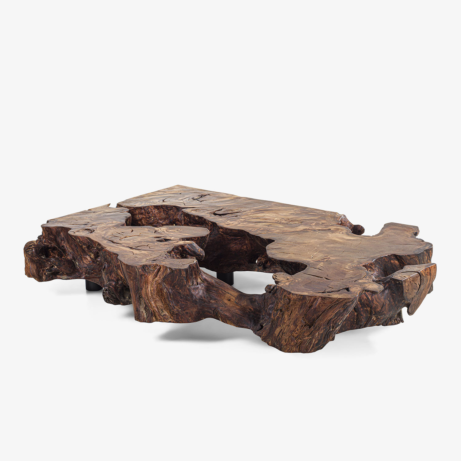 KAURI STUMP