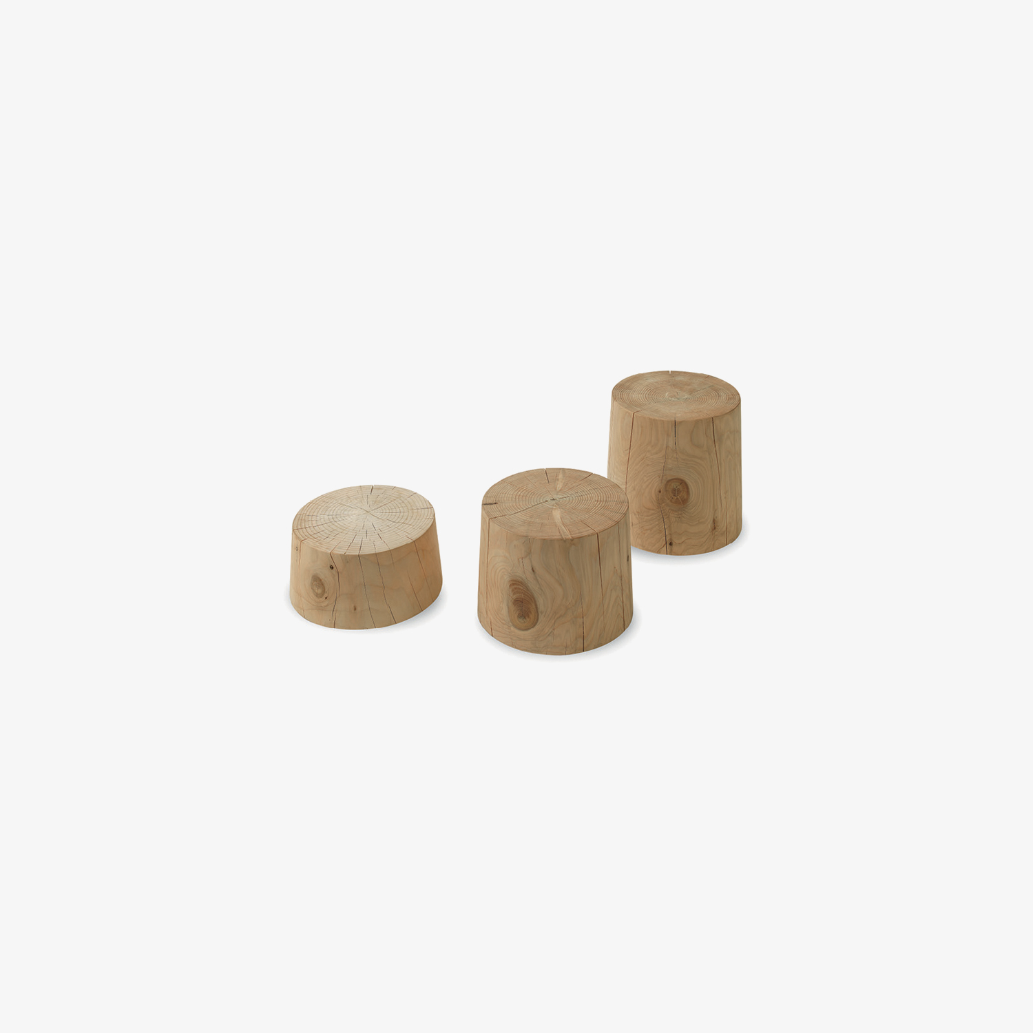 LEGNO VIVO