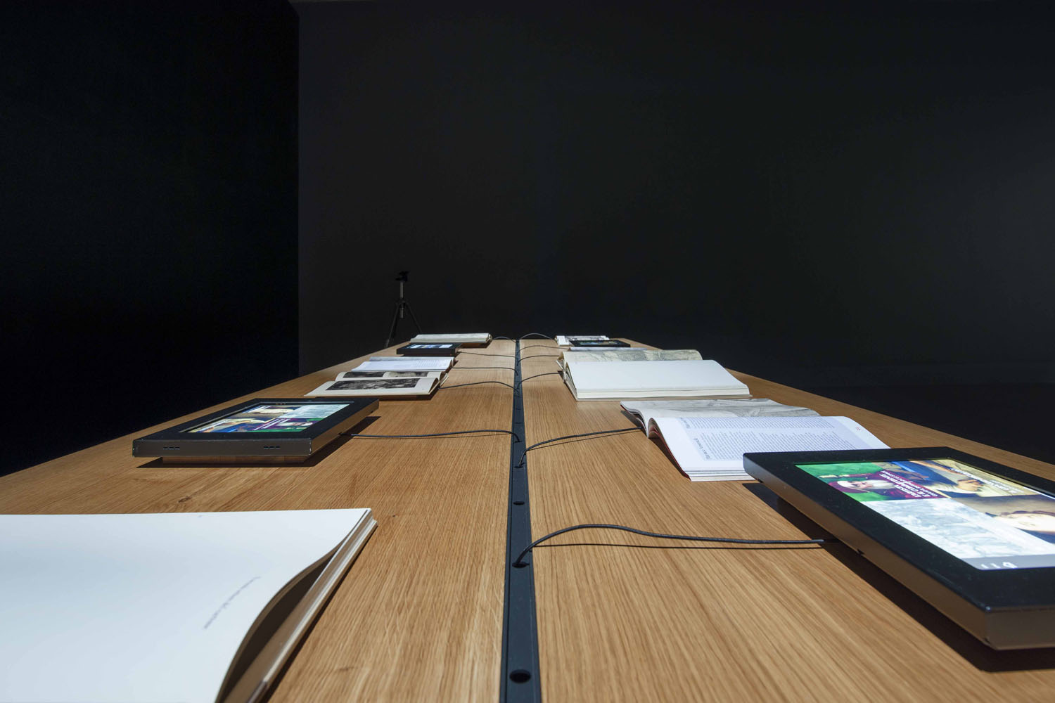 SALA DEL CARTONE DI RAFFAELLO Gallery 5